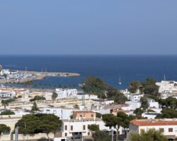Imagen de 