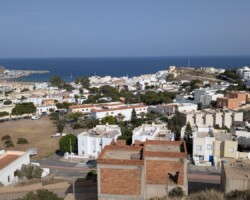Imagen de 